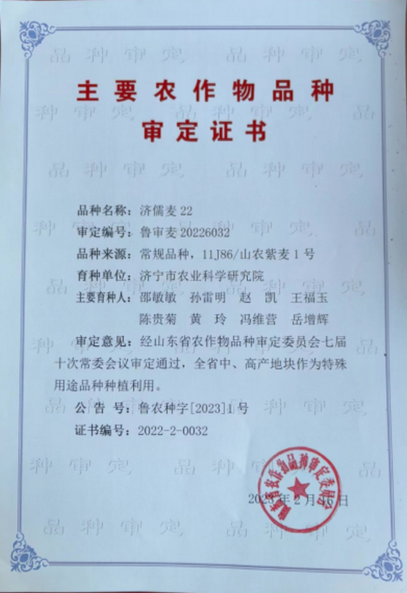 济麦220 01.png